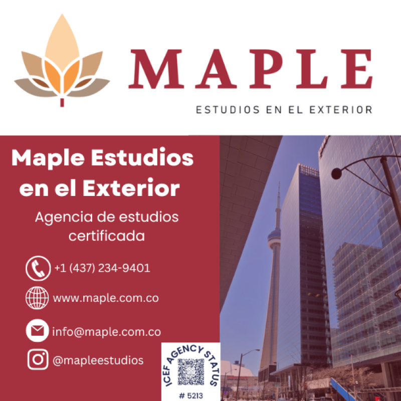 Maple: Estudios en el exterior